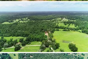 5604 County Road 364 10 Acres, Buffalo, TX 75831 - Photo 1