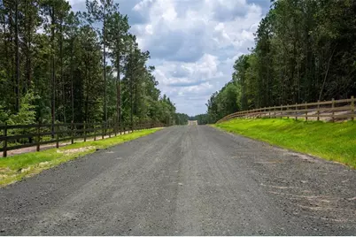 Tbd 8 Timberland Branch Drive, Woodville, TX 75979 - Photo 4