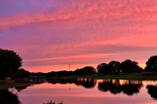 18 Crest Gate, Houston, TX 77082 - Photo 46