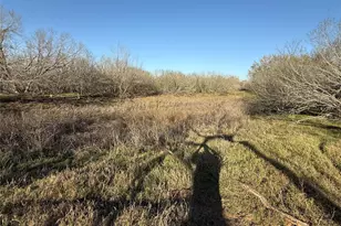 2398 Zion Hill Rd, Seguin, TX 78155 - Photo 20