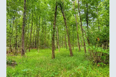 Tbd County Road 3610, Woodville, TX 75979 - Photo 32