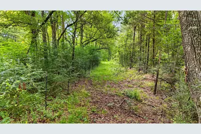 Tbd County Road 3610, Woodville, TX 75979 - Photo 26