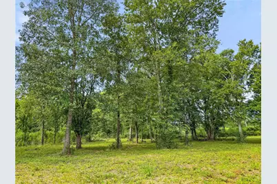 Tbd County Road 3610, Woodville, TX 75979 - Photo 12