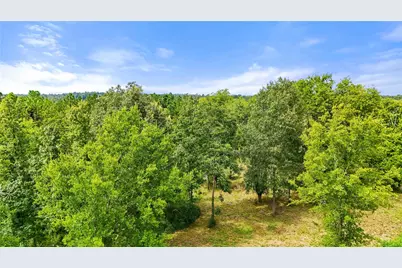 Tbd County Road 3610, Woodville, TX 75979 - Photo 44