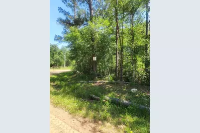 01 Cindy Lane, Shepherd, TX 77371 - Photo 2