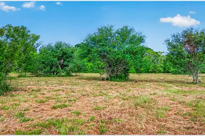 0 Elberta Lane, Brookshire, TX 77423 - Photo 14