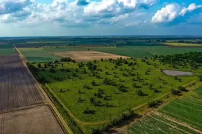 0000 Koym Road, Beasley, TX 77417 - Photo 14