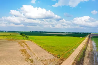0000 Koym Road, Beasley, TX 77417 - Photo 8