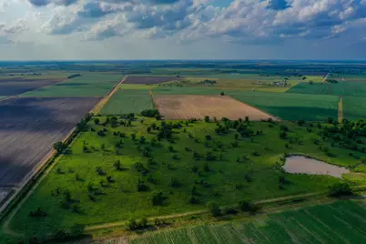 0000 Koym Road, Beasley, TX 77417 - Photo 16