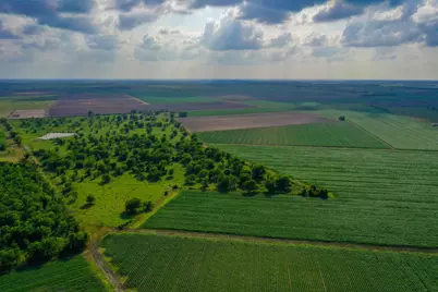 0000 Koym Road, Beasley, TX 77417 - Photo 20