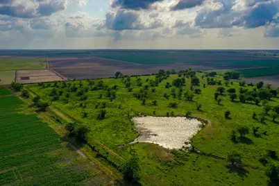 0000 Koym Road, Beasley, TX 77417 - Photo 18