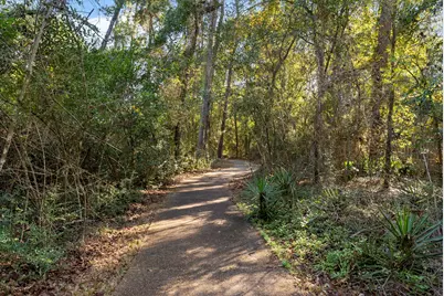 2344 W Settlers Way, The Woodlands, TX 77380 - Photo 26