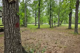 15784 Tree Monkey Rd, Conroe, TX 77303 - Photo 4