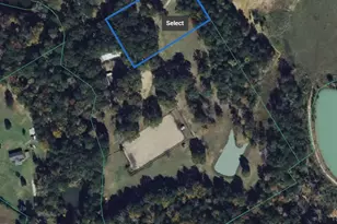 15784 Tree Monkey Rd, Conroe, TX 77303 - Photo 38