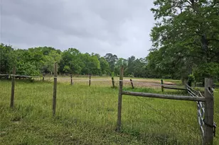 15784 Tree Monkey Rd, Conroe, TX 77303 - Photo 6