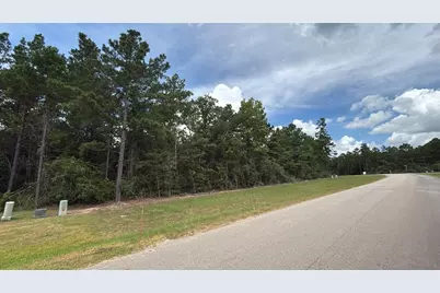 7621 Trinity Pines Dr, Montgomery, TX 77316 - Photo 2