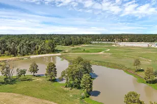 782 Falling Cave Dr, Willis, TX 77378 - Photo 34