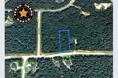 5-6-230 Dipping Vat Road, Huntsville, TX 77340 - Photo 4