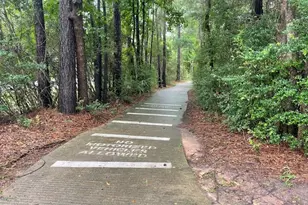 8051 Bay Branch Dr, The Woodlands, TX 77382 - Photo 50