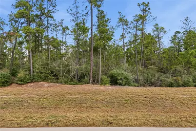 15466 Red Hawk Road, Willis, TX 77378 - Photo 10