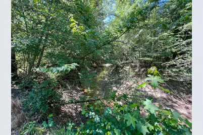 12 Howell Road, Corrigan, TX 75939 - Photo 12
