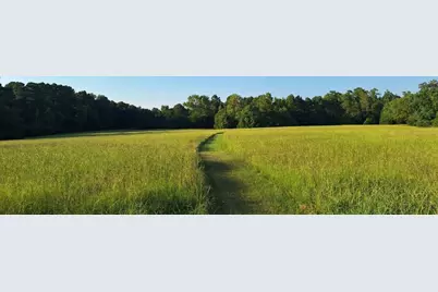 198 Fm 2974 Upper Arcadia Rd, Center, TX 75935 - Photo 2