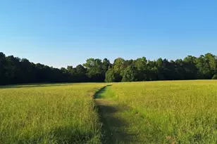 198 Fm 2974 Upper Arcadia Rd, Center, TX 75935 - Photo 2