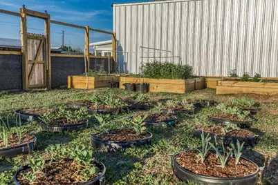 15520 Farm To Market 912, Washington, TX 77880 - Photo 44