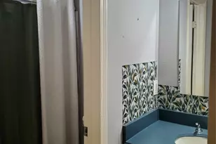 315 Willowick St, Tomball, TX 77375 - Photo 6