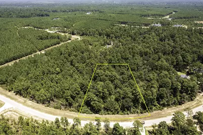 15628 Wood Grove Way, Willis, TX 77378 - Photo 2