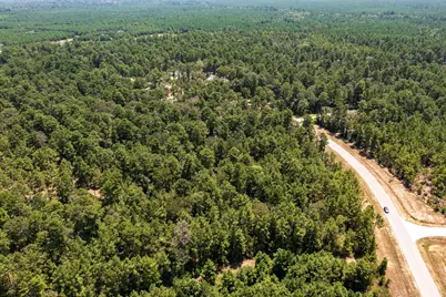 15628 Wood Grove Way, Willis, TX 77378 - Photo 12