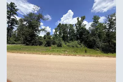 12075 High Branch Way, Willis, TX 77378 - Photo 1