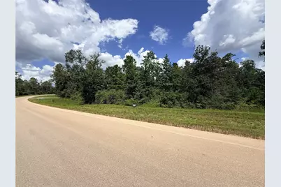 12075 High Branch Way, Willis, TX 77378 - Photo 4