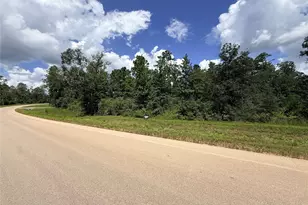 12075 High Br Wy, Willis, TX 77378 - Photo 1