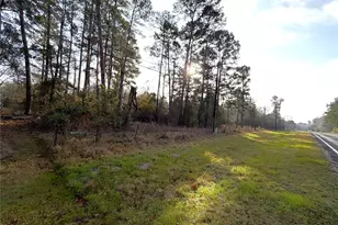 12005 FM356, Trinity, TX 75862 - Photo 1