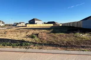32403 Slender Spreadwing Dr, Fulshear, TX 77441 - Photo 2