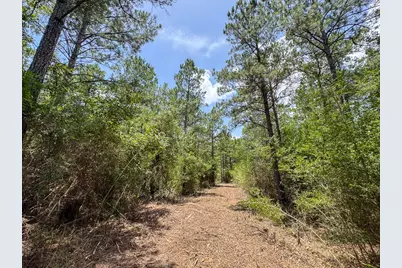 4 Benny Griffin Road, Livingston, TX 77351 - Photo 28