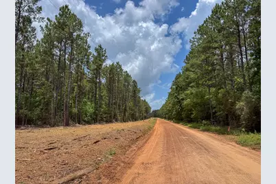 4 Benny Griffin Road, Livingston, TX 77351 - Photo 14