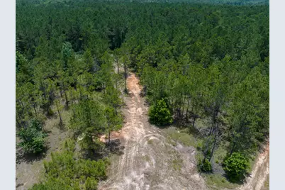 4 Benny Griffin Road, Livingston, TX 77351 - Photo 8