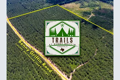 4 Benny Griffin Road, Livingston, TX 77351 - Photo 1