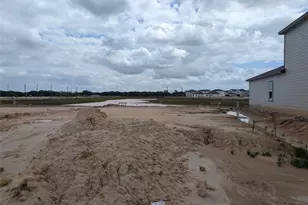 4522 Pleasant Peony Way, Katy, TX 77493 - Photo 2