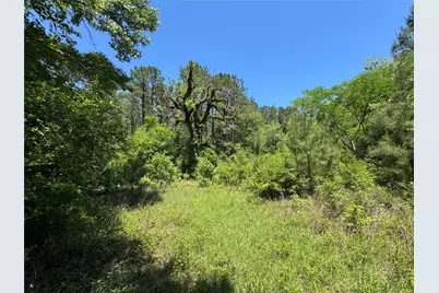 2374 Holly Grove Road, Livingston, TX 77351 - Photo 8