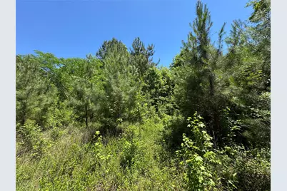 2374 Holly Grove Road, Livingston, TX 77351 - Photo 6