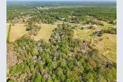5515 N State Highway 19, Trinity, TX 75862 - Photo 8