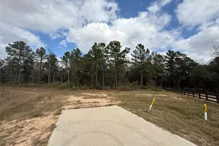 23705 Birch Grv Rd, Montgomery, TX 77316 - Photo 1