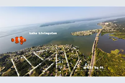 186 N Cattle Drive, Onalaska, TX 77360 - Photo 4