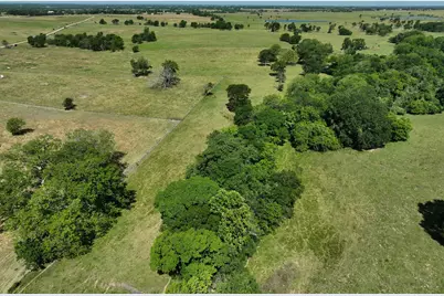 Tract #5 Cr 305 Road, Navasota, TX 77868 - Photo 4
