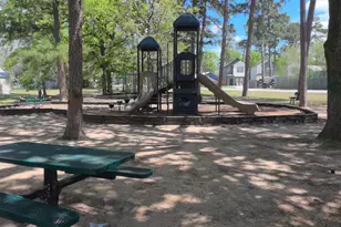 9775 Black Gum, Willis, TX 77318 - Photo 18