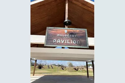 3831 Garden Hill Lane, Santa Fe, TX 77510 - Photo 32