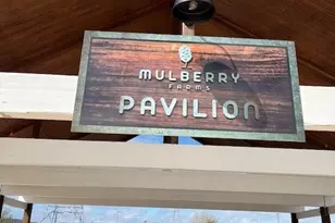 3831 Garden Hill Ln, Santa Fe, TX 77510 - Photo 32